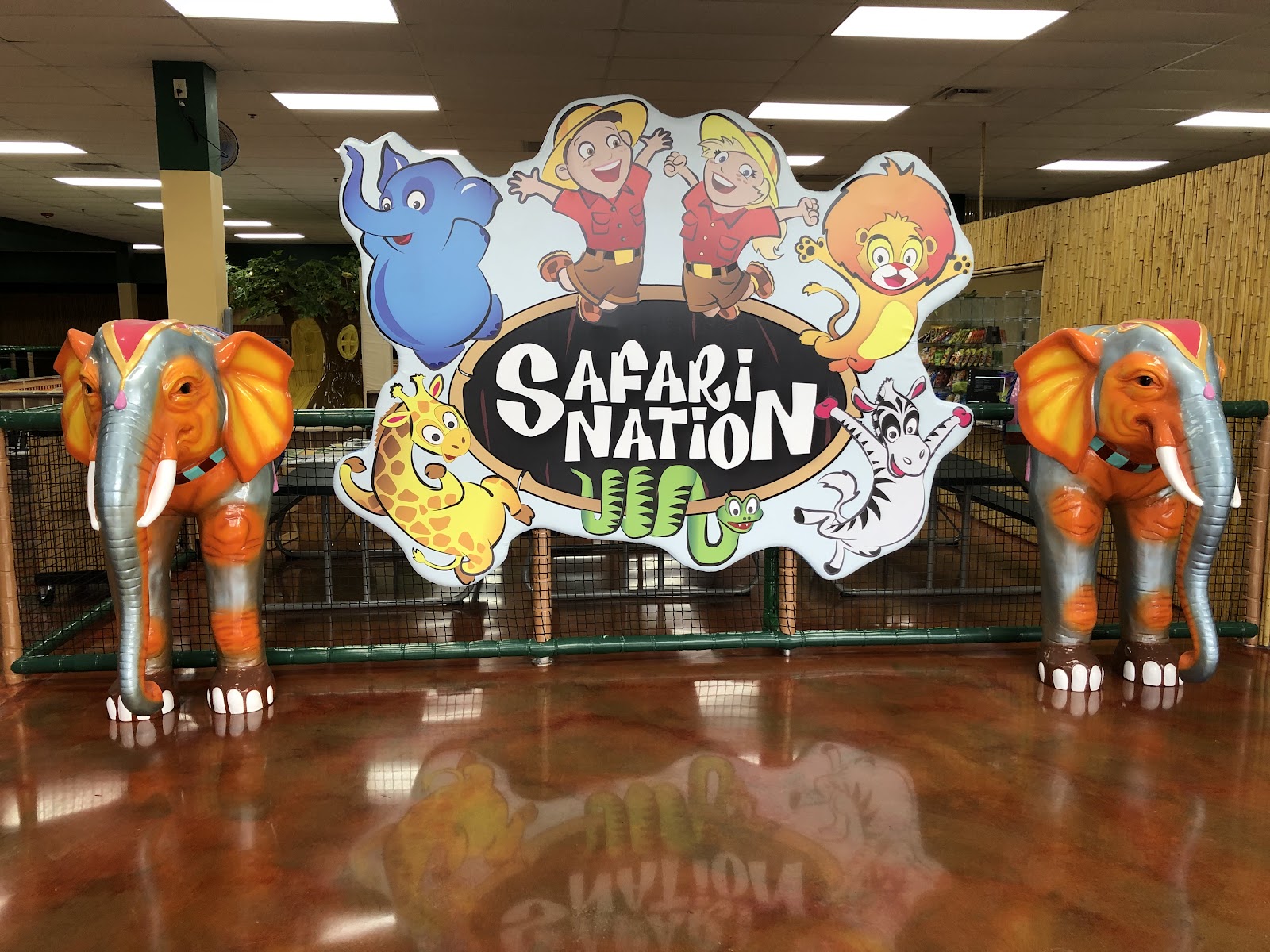 Safari Nation High Point