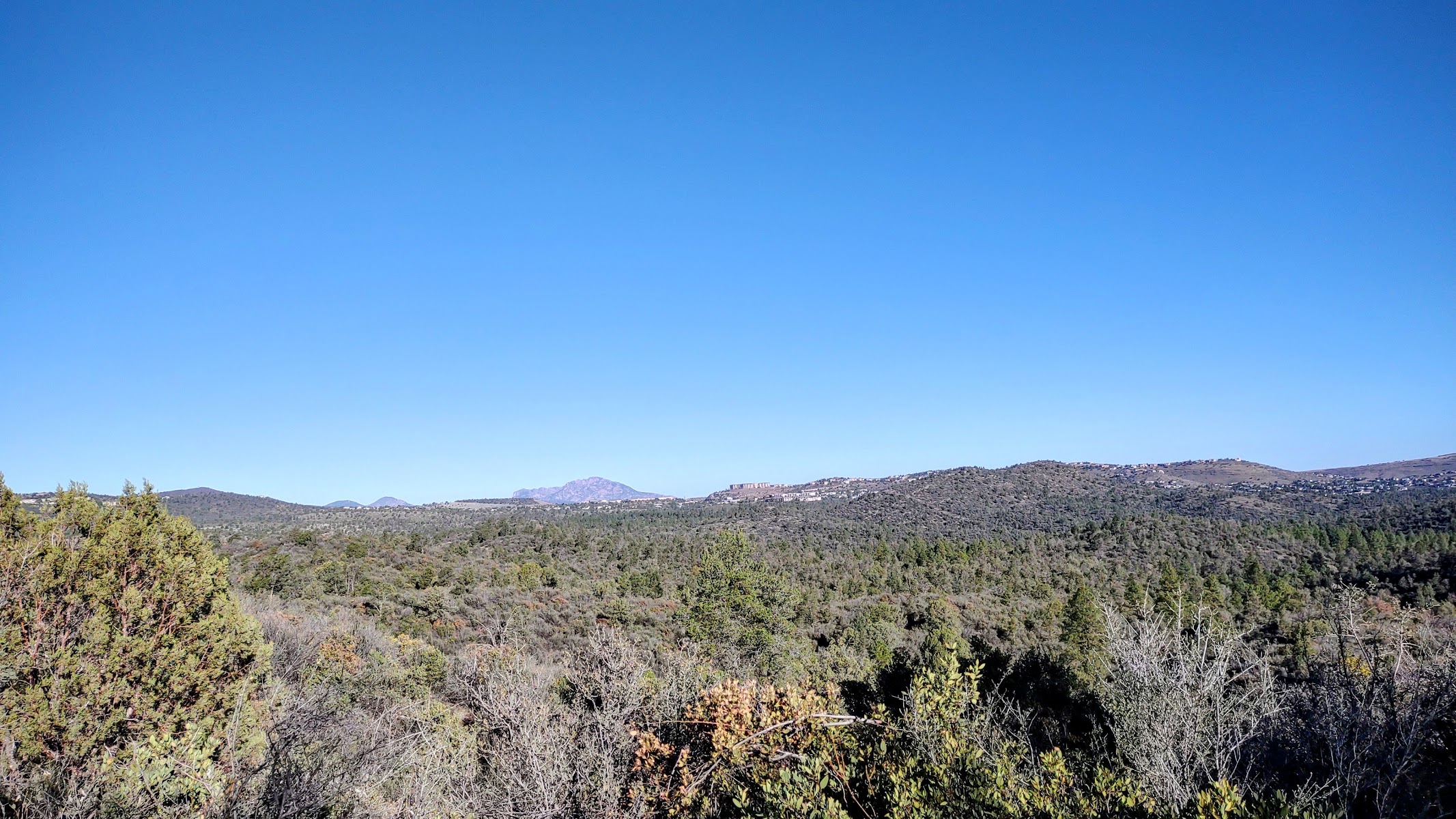 Salida Gulch Trail #95