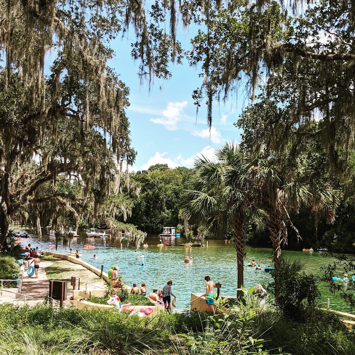 Salt Springs Recreation Area