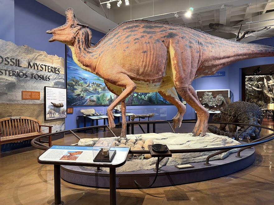 San Diego Natural History Museum