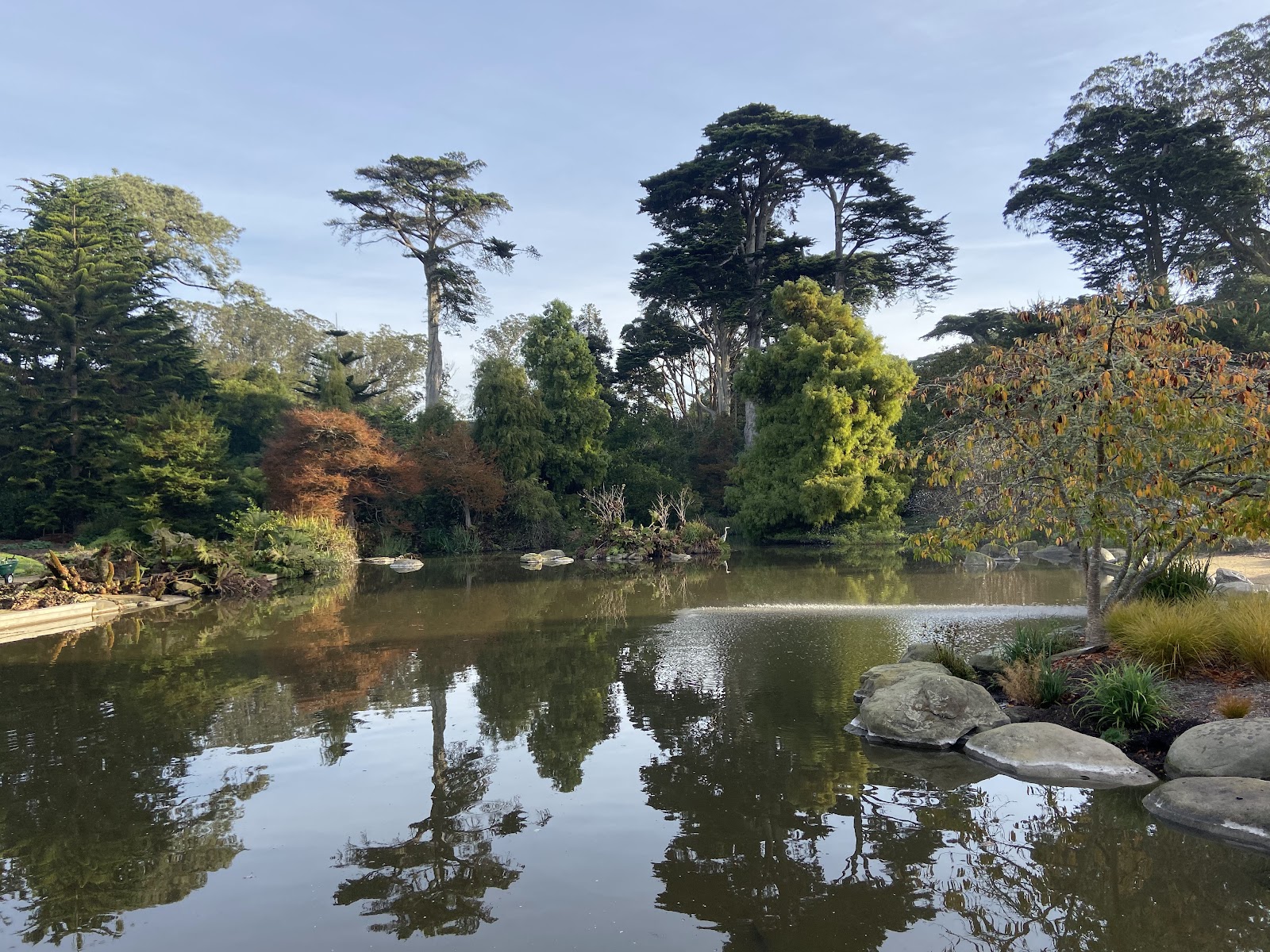Morning Blooms & Brunch in Golden Gate Park