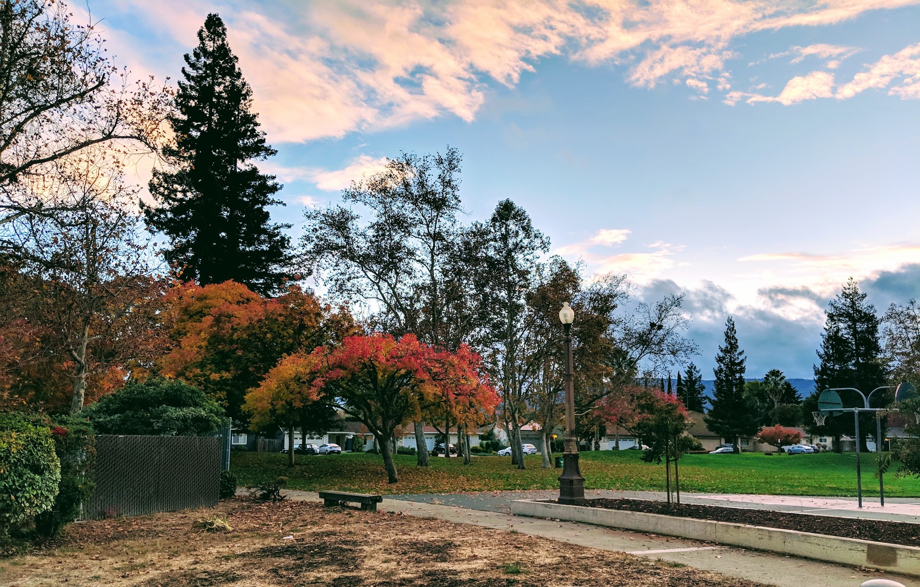 San Tomas Park