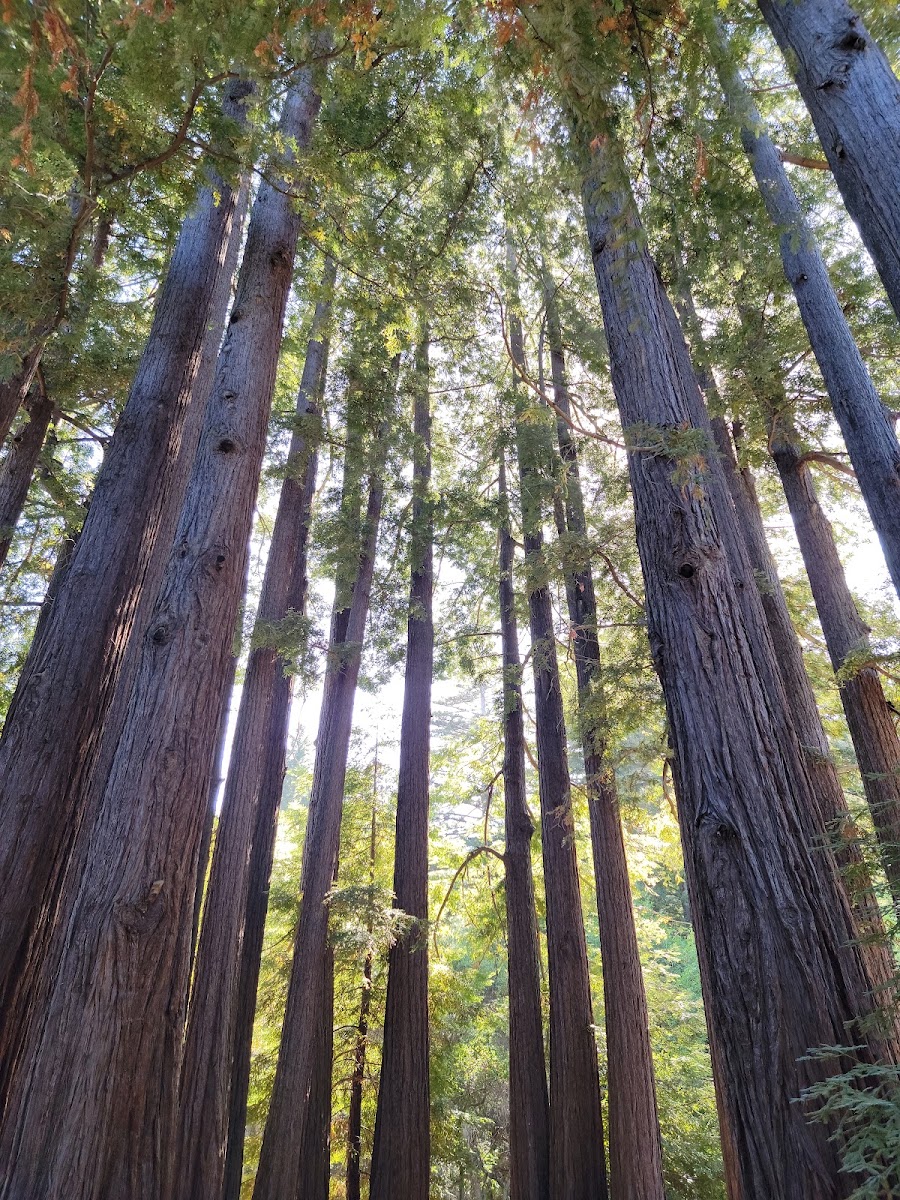 Sanborn County Park