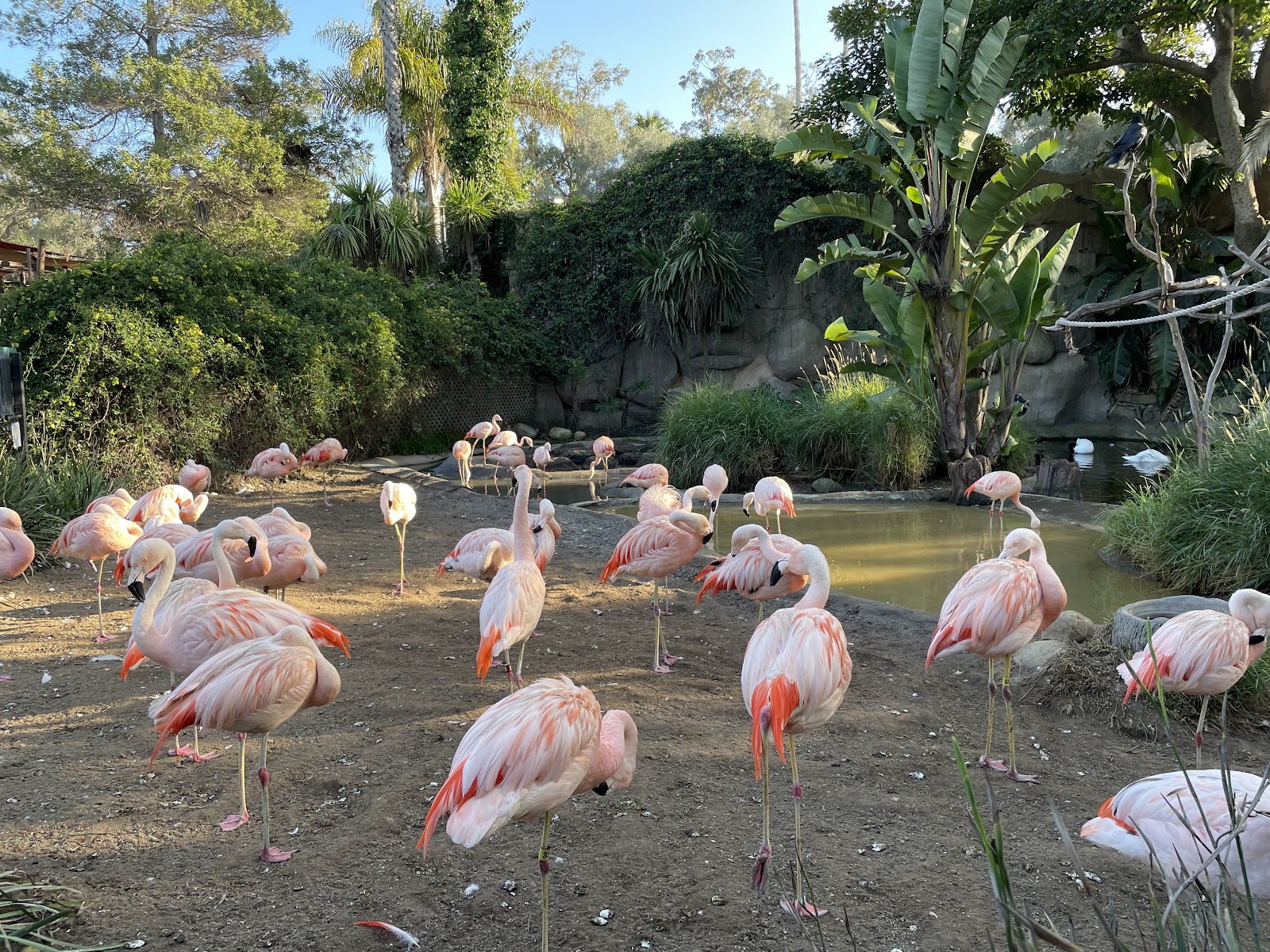 Santa Barbara Zoo