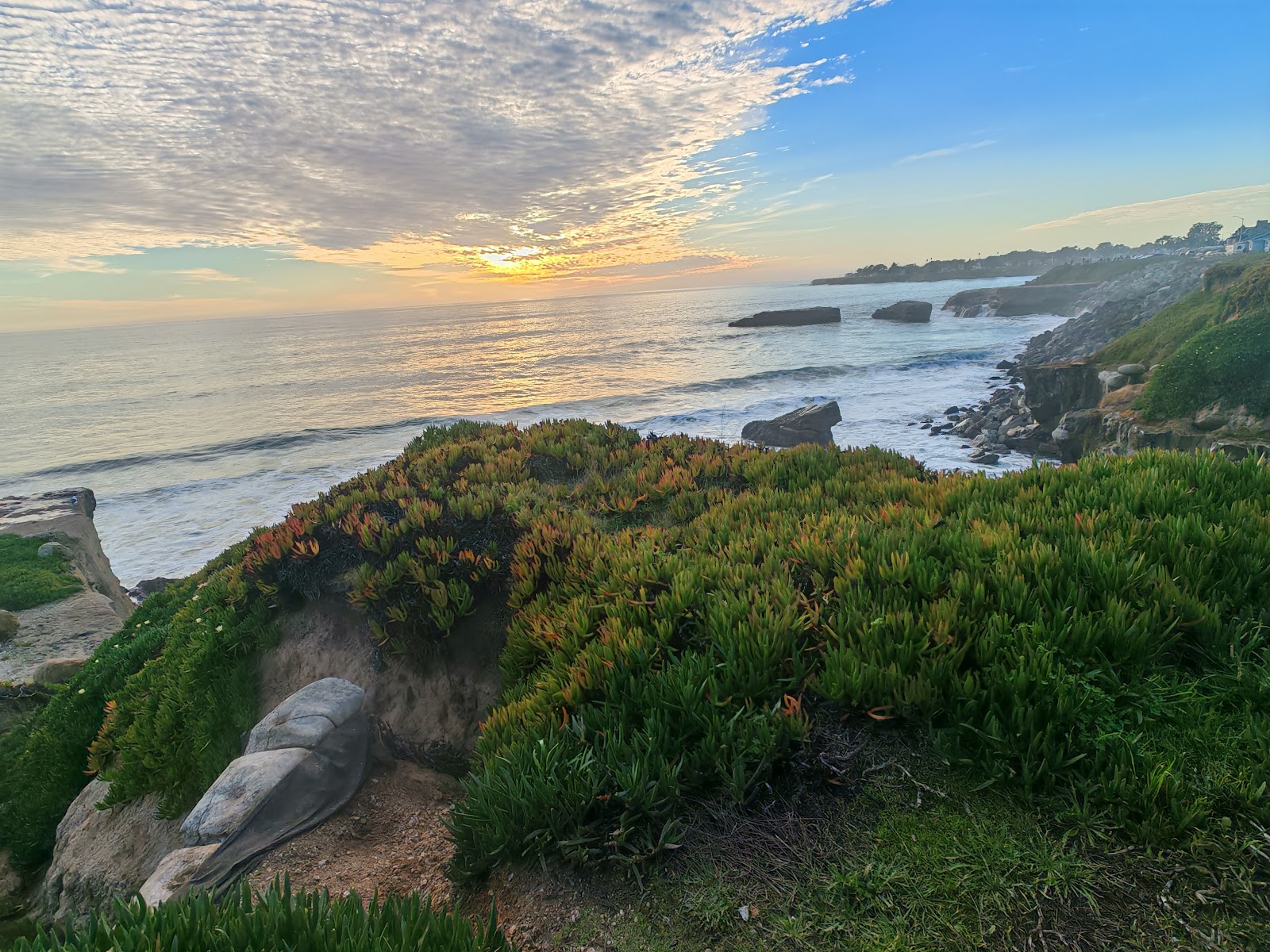 Santa Cruz Surfing Museum