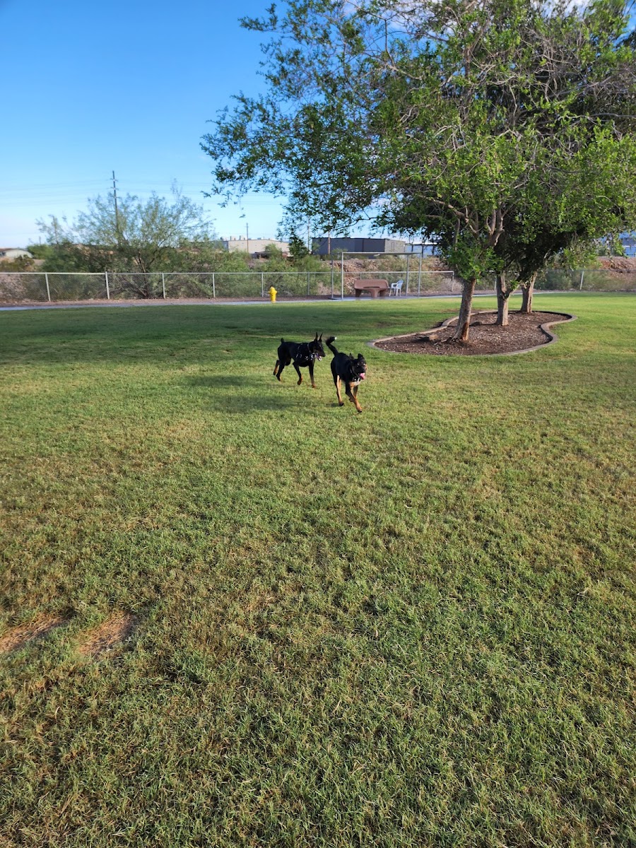 Sara Park Dog Park