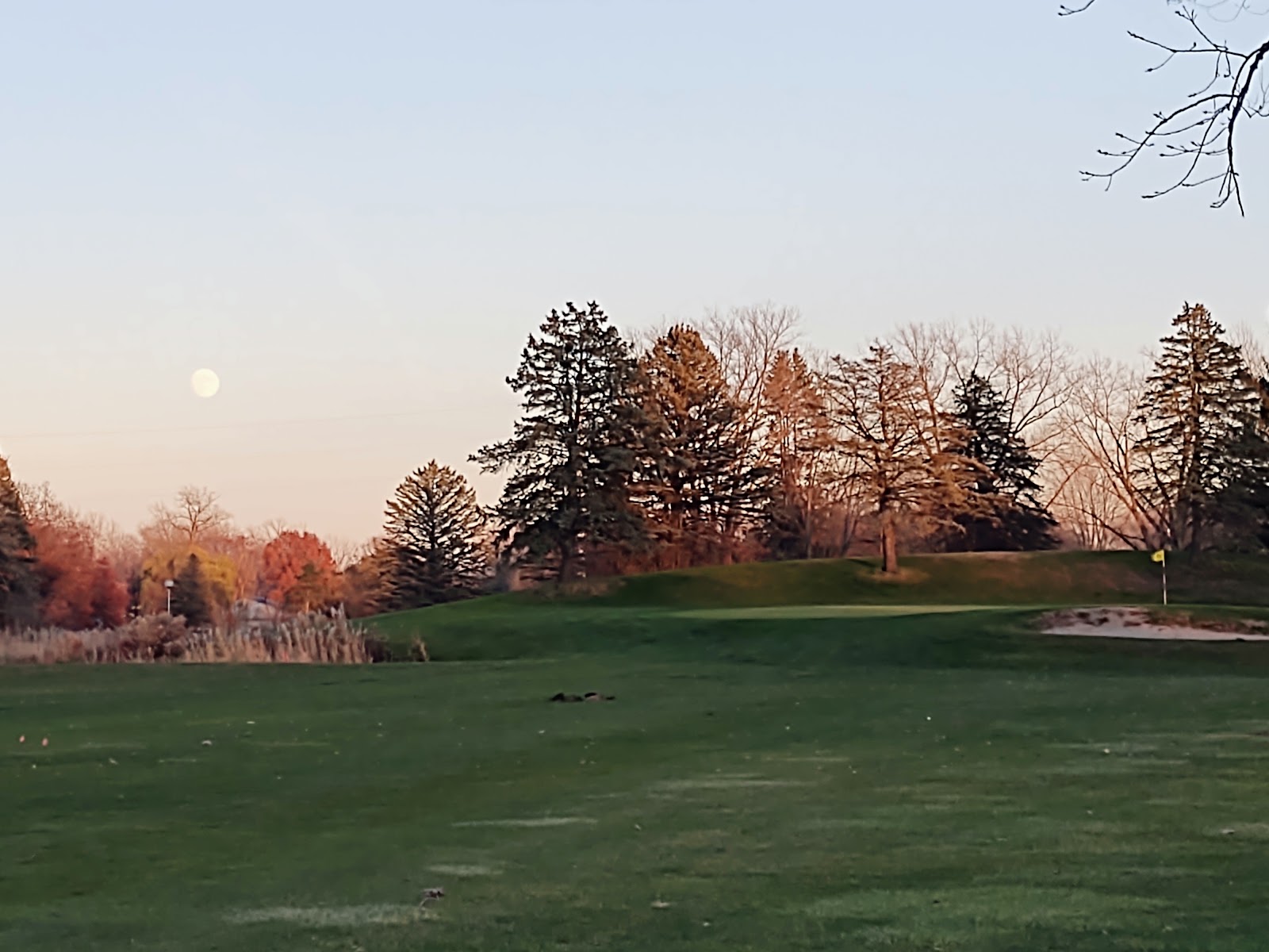 Scherwood Golf