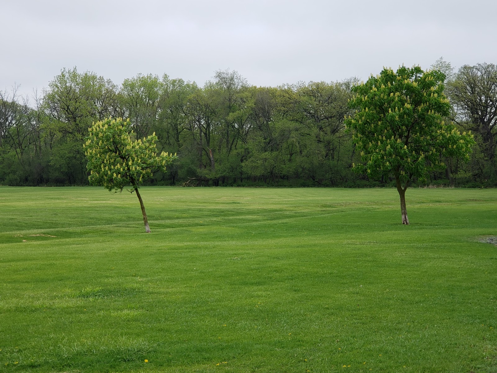 Schiller Woods-East