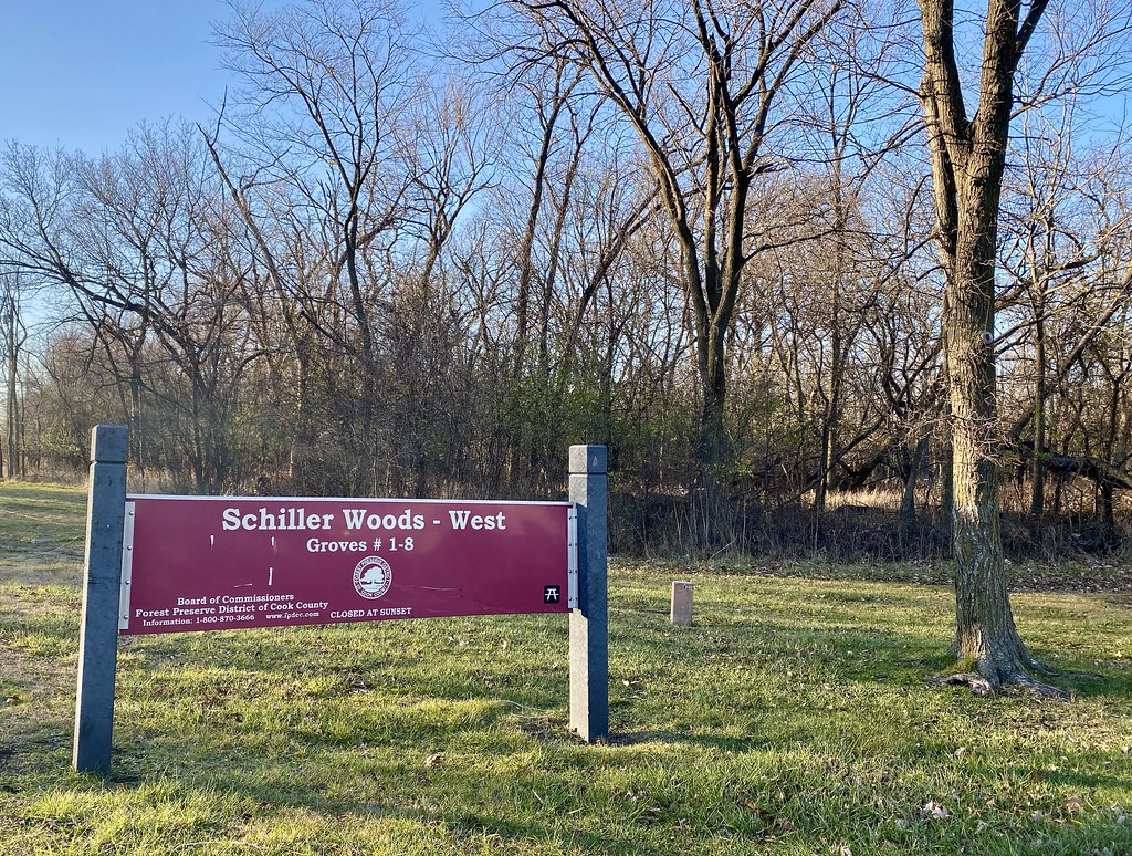 Schiller Woods