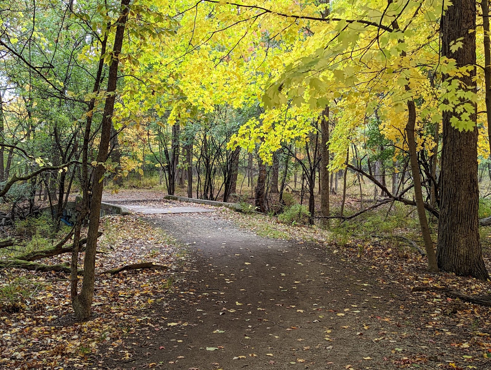 Schiller Woods-South