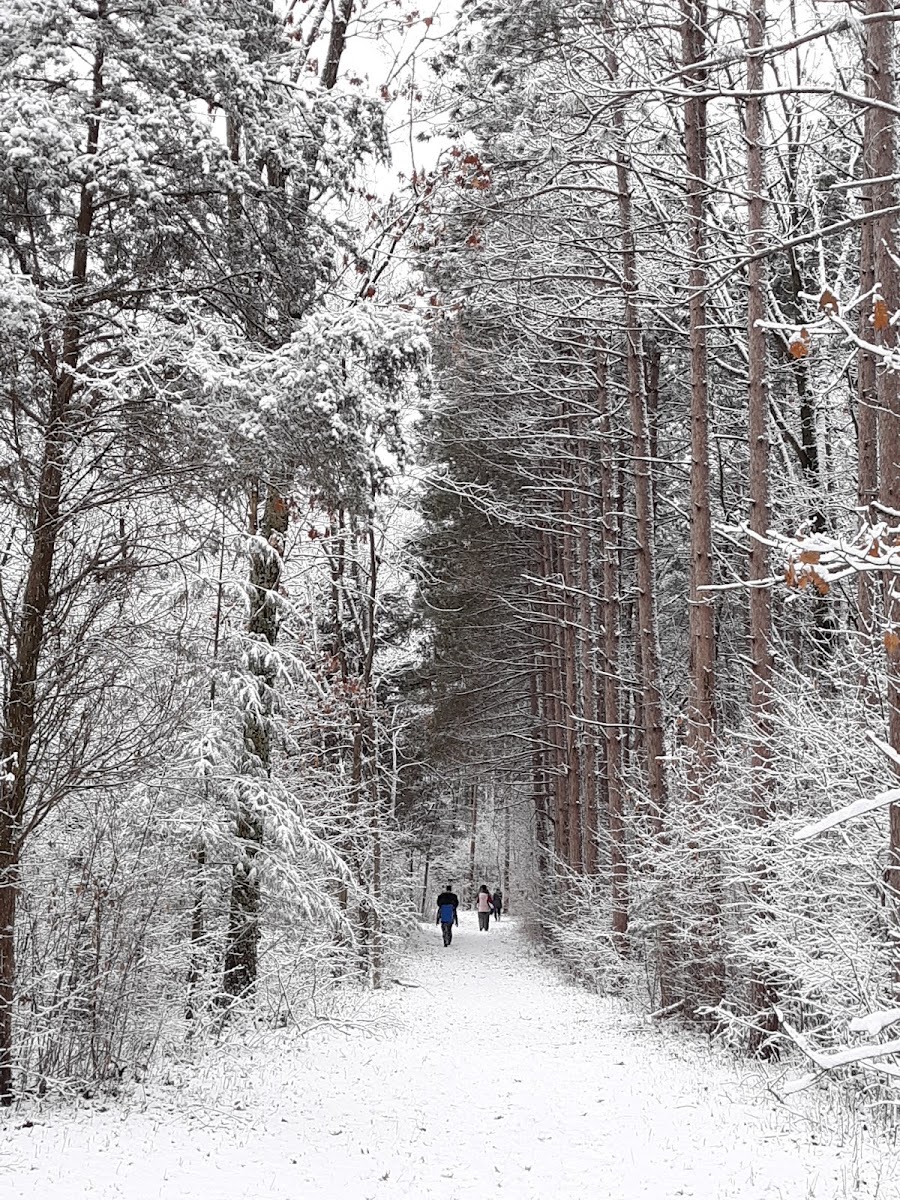Scuppernong Trailhead