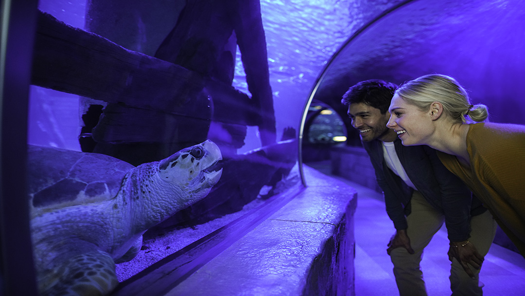 SEA LIFE at Mall of America