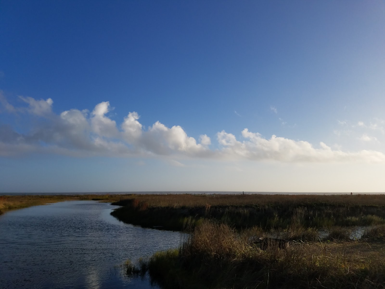 Sea Rim State Park