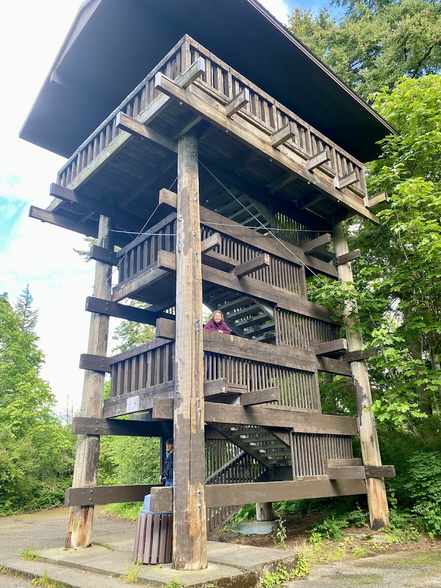 Sehome Hill Arboretum