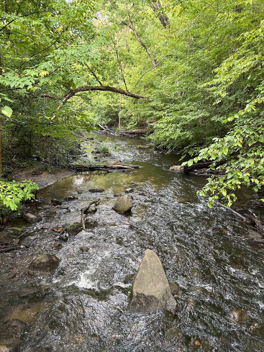 Seidman Park