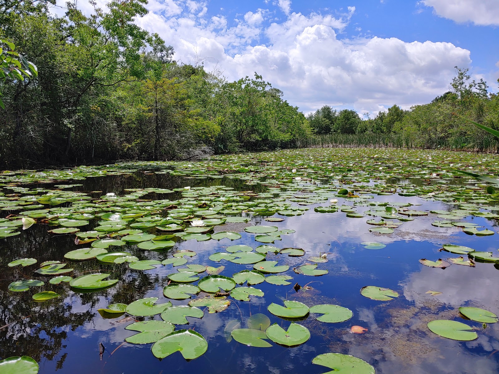 Sheldon Lake State Park & Environmental Learning Center