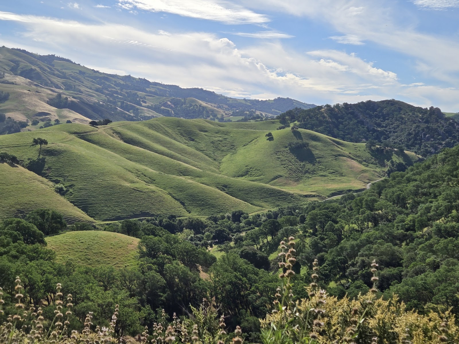 Shell Ridge Open Space