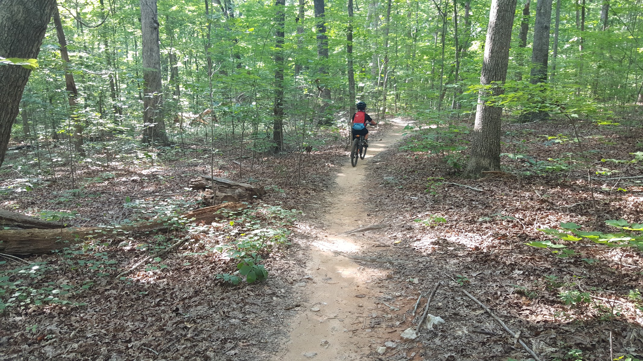 Sherman Branch Nature Preserve