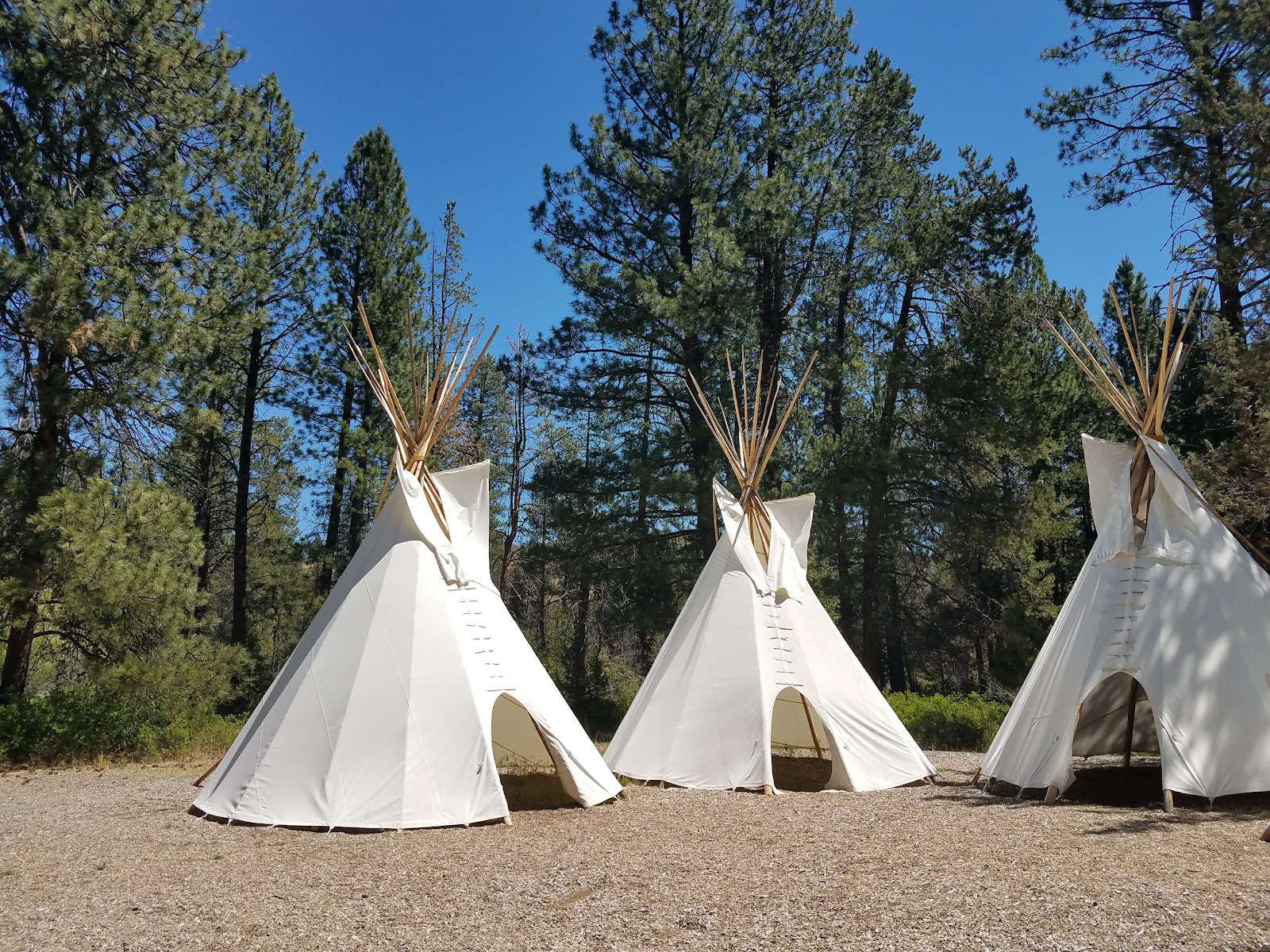 Shevlin Park