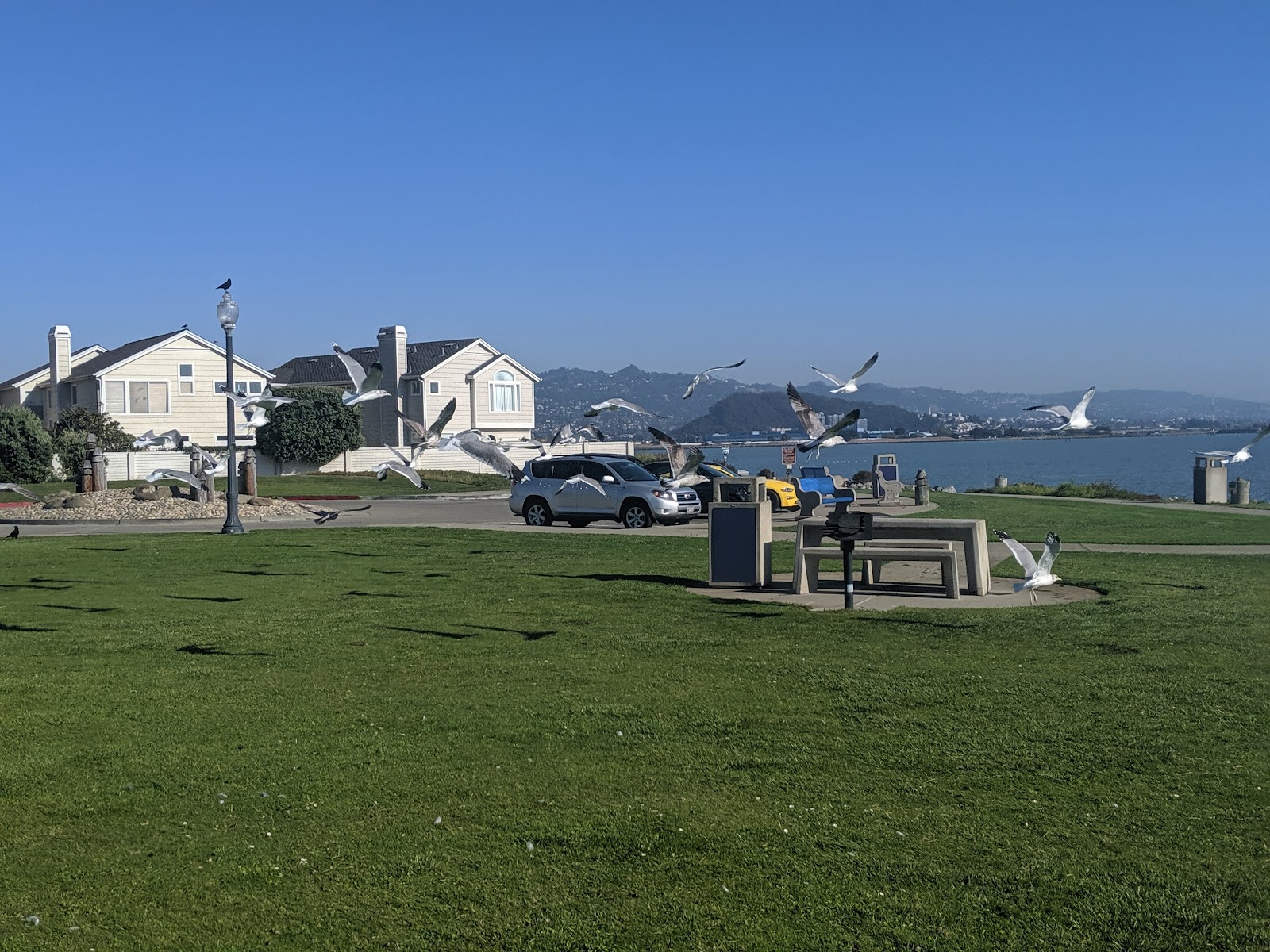 Shimada Friendship Park