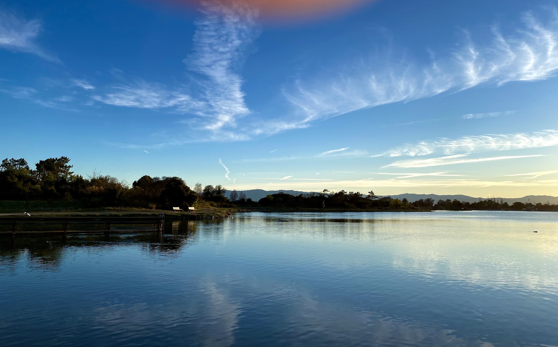 Shoreline Park