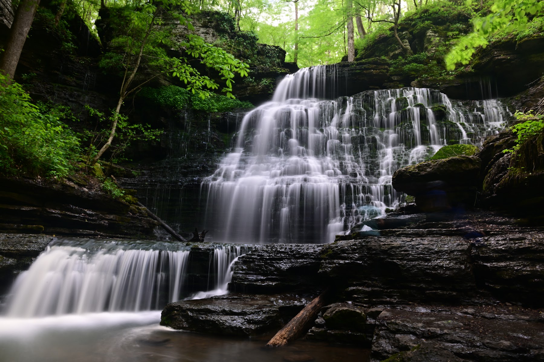 Short Springs Natural Area