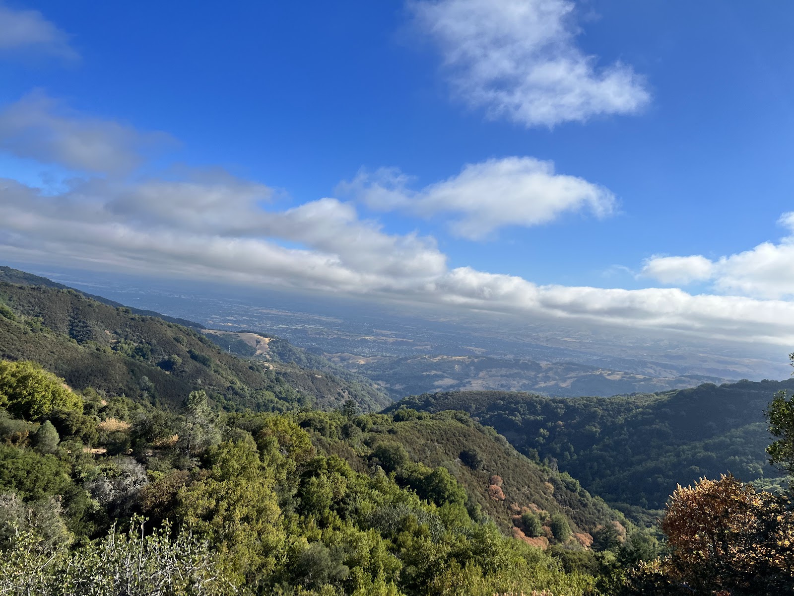 Sierra Azul Open Space Preserve