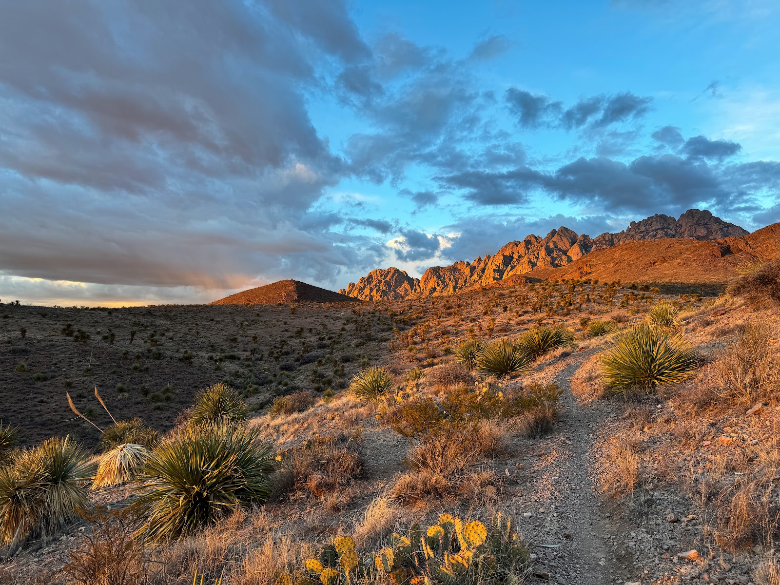 Sierra Vista National Recreation Trail