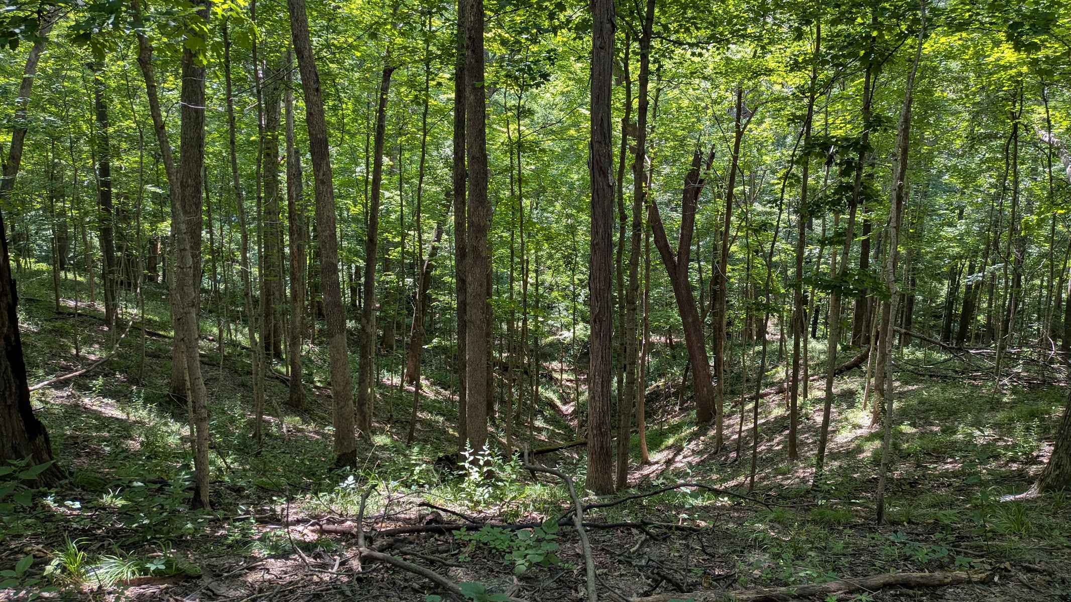 Siloam Springs State Park