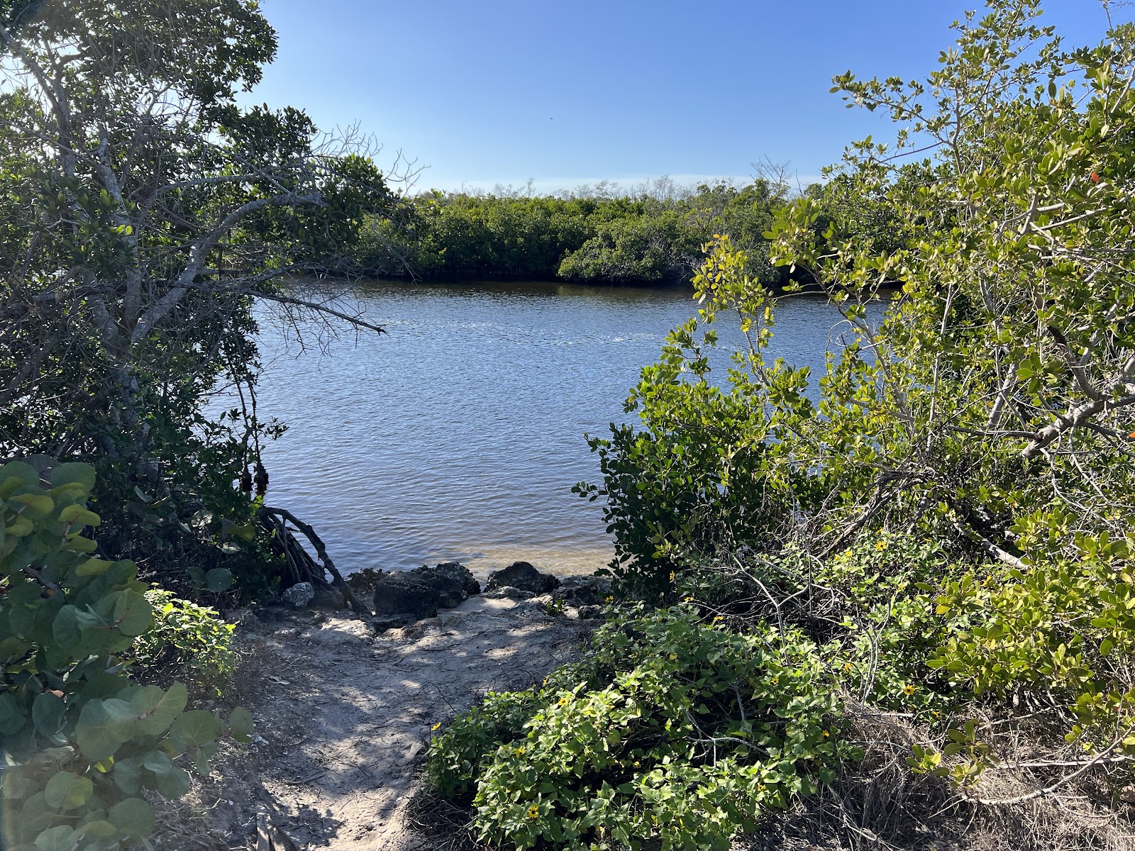 Sirenia Vista