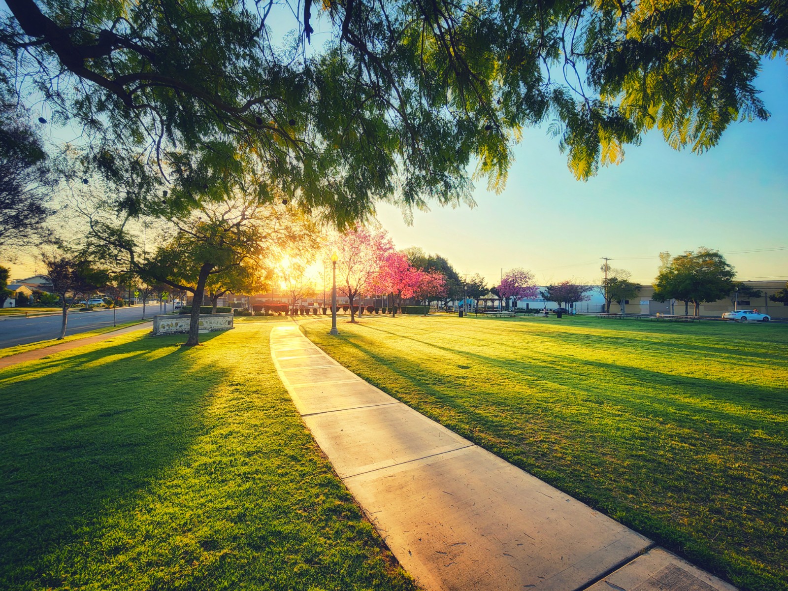 Smith Park
