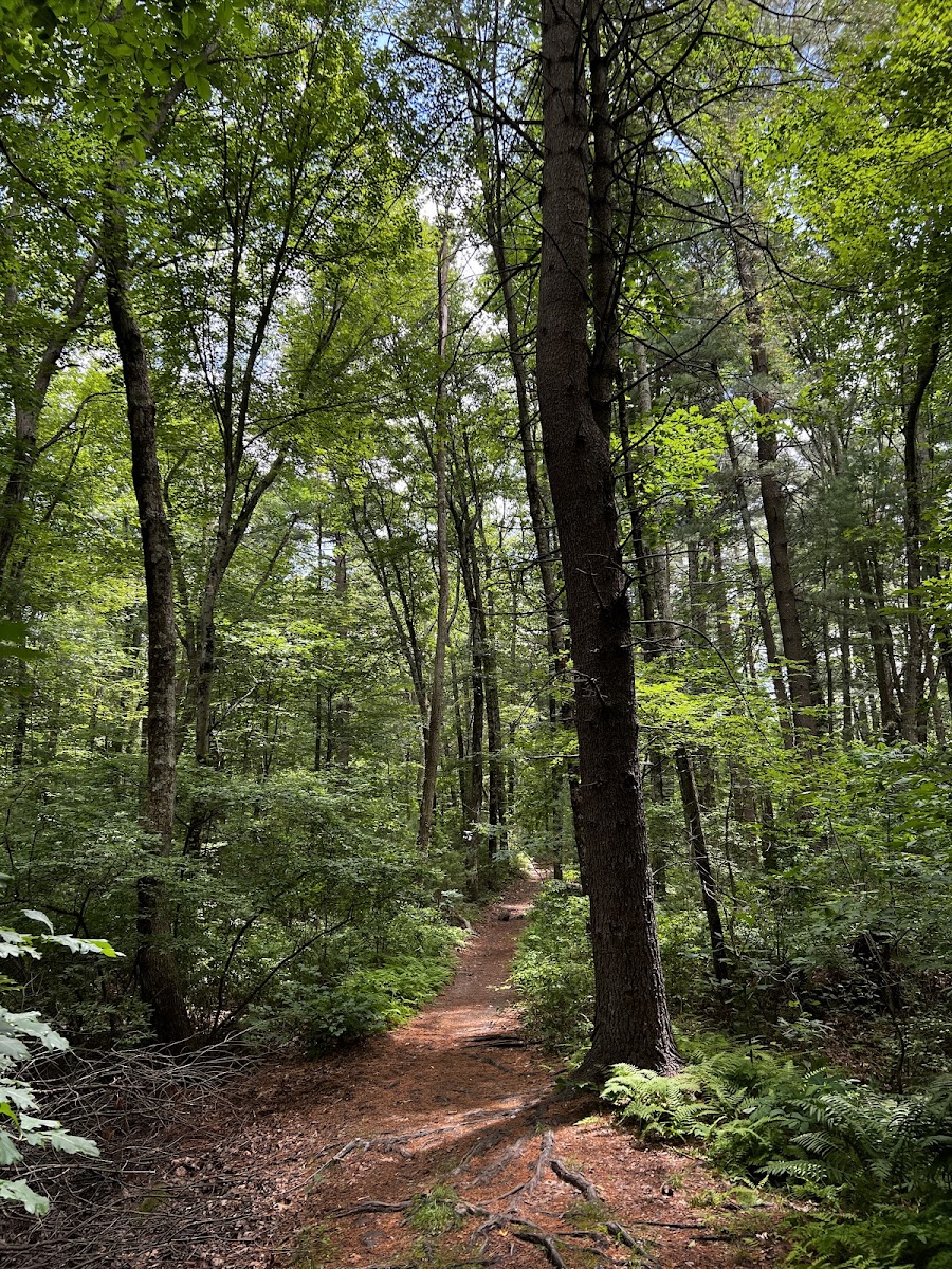 Snake Den State Park