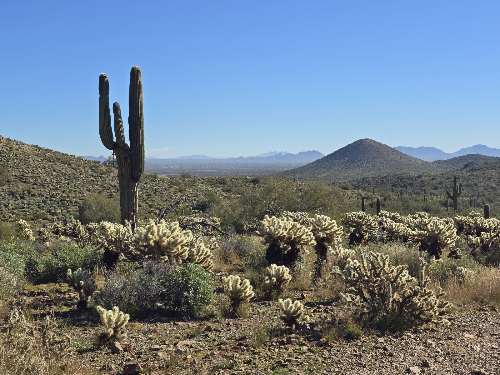 Sonoran Preserve