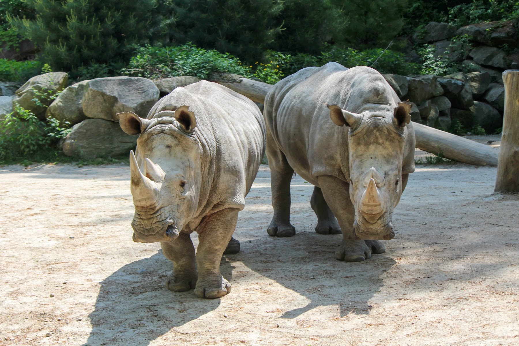 Southwick's Zoo