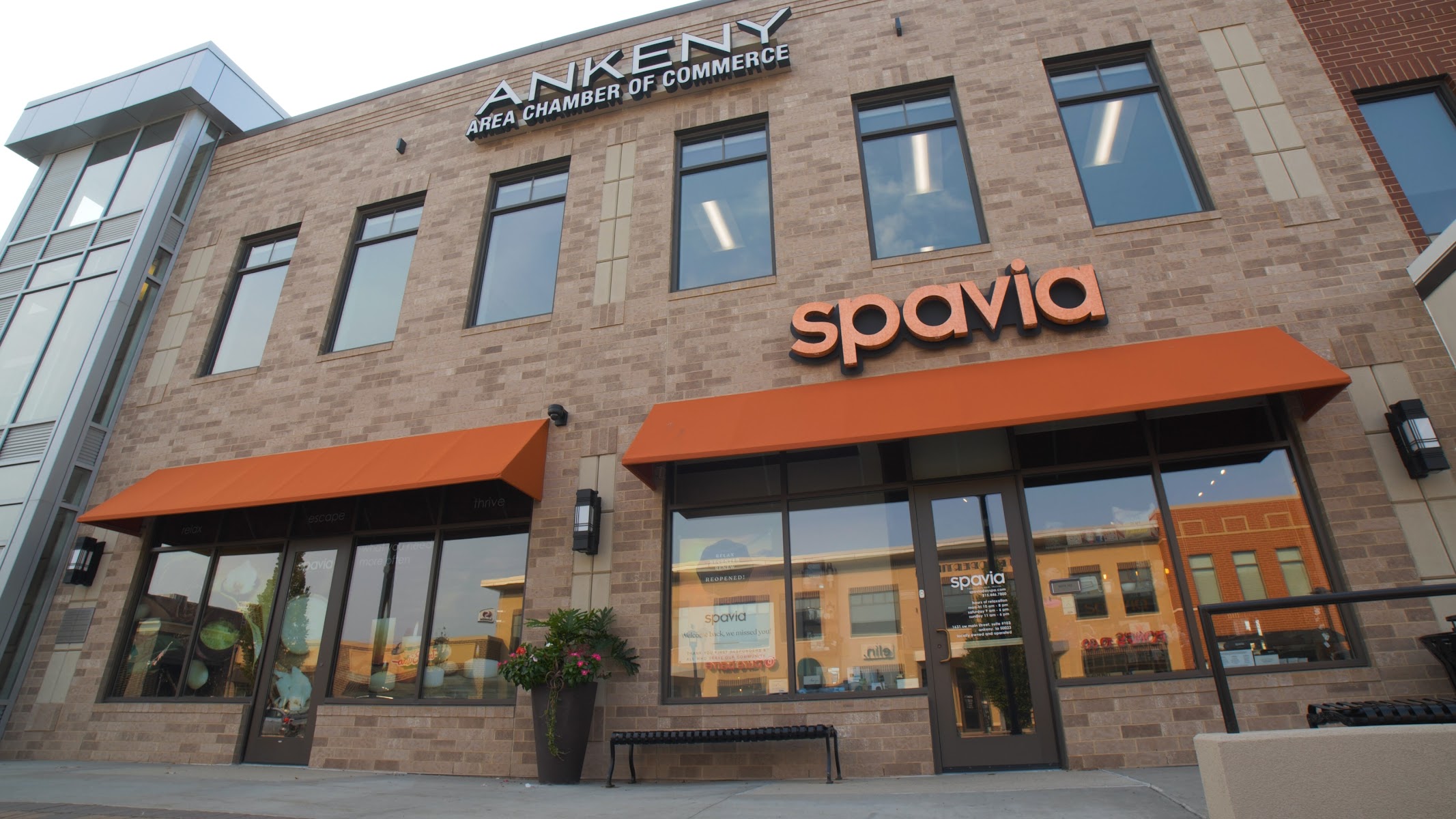 Spavia