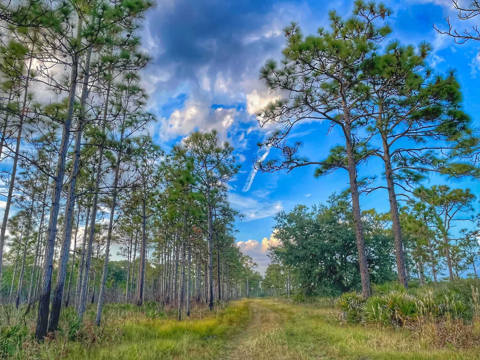Split Oak Forest Wildlife and Environmental Area