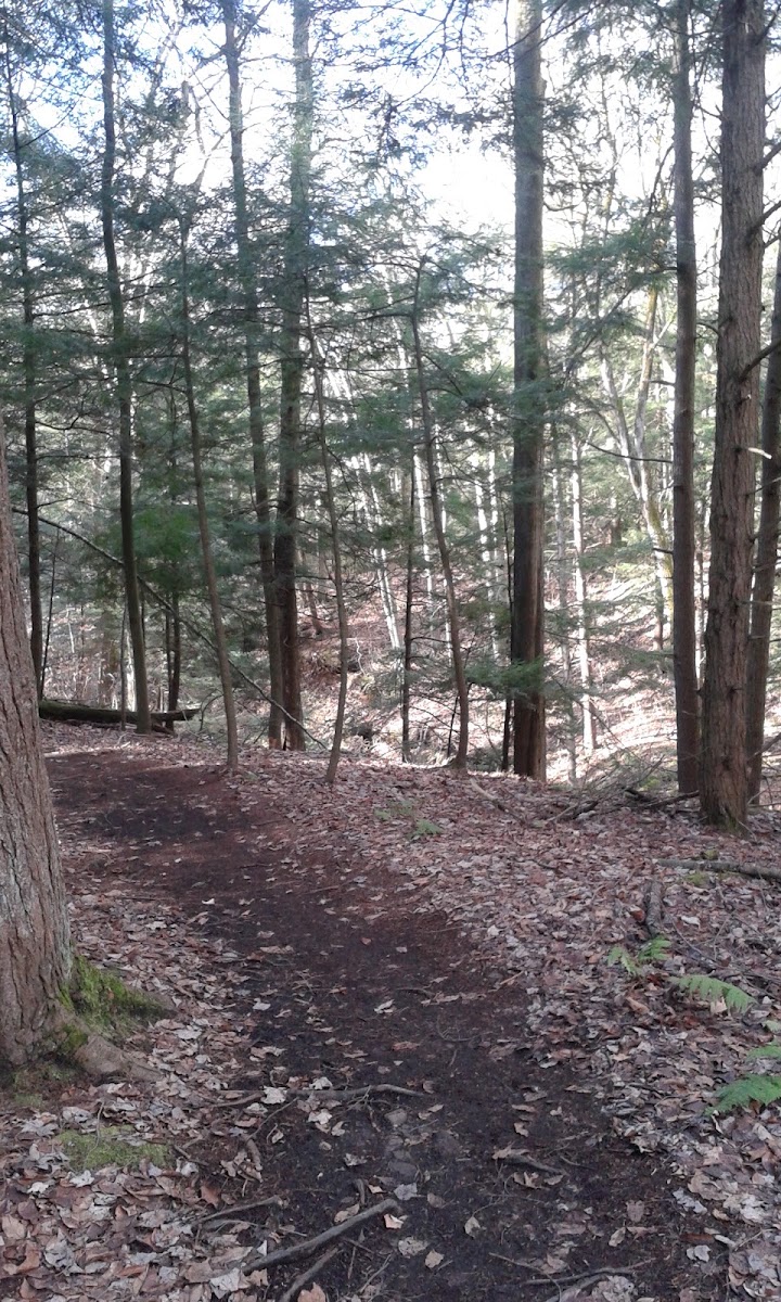 Sprague Brook Park
