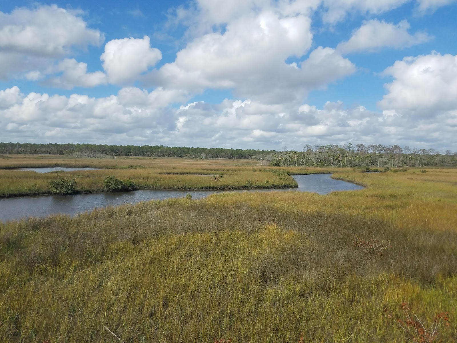 Spruce Creek Park