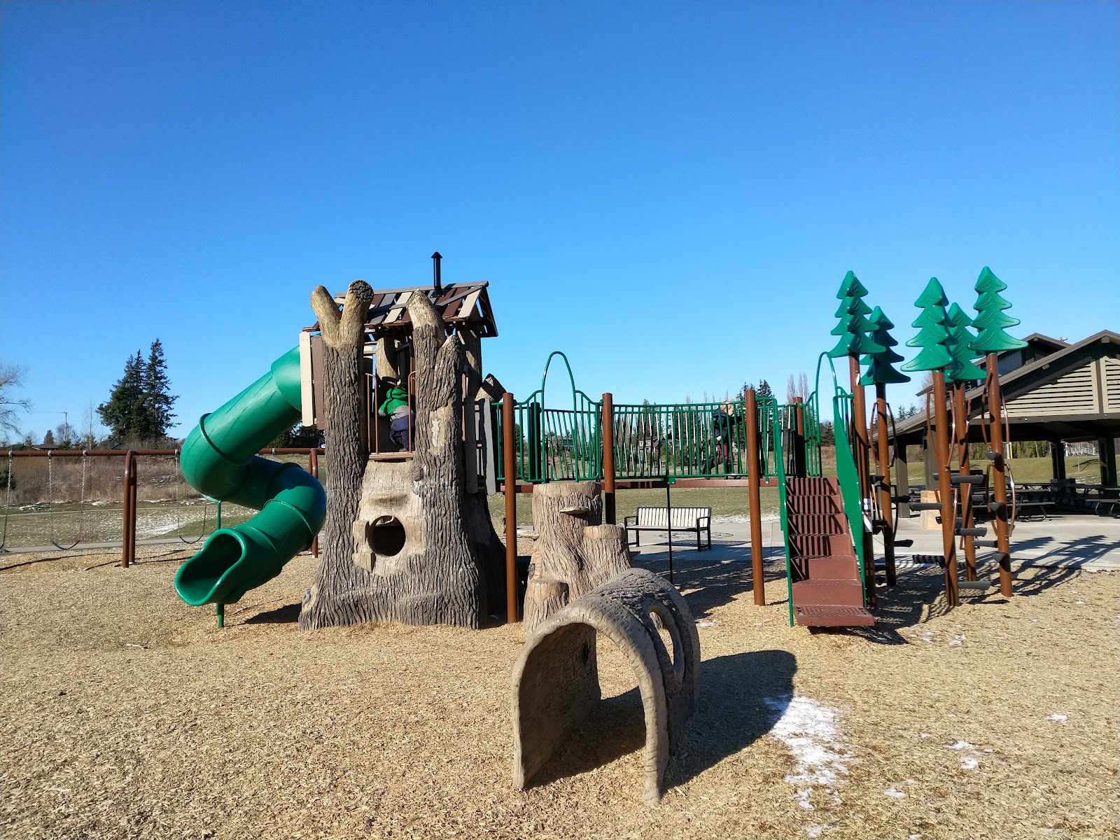 Squalicum Creek Park
