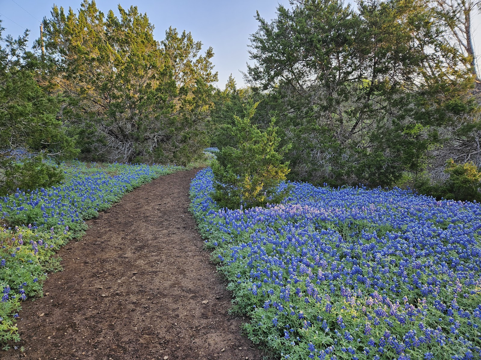 St. Edward's Greenbelt