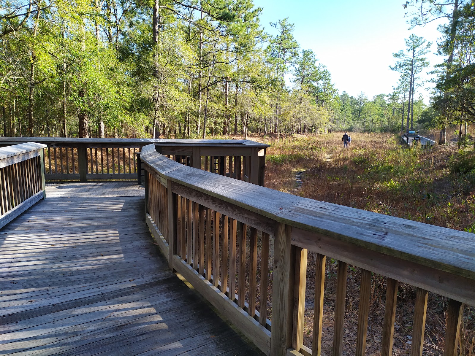 Stanley Rehder Carnivorous Plant Garden at Piney Ridge Nature Preserve - Wilmington