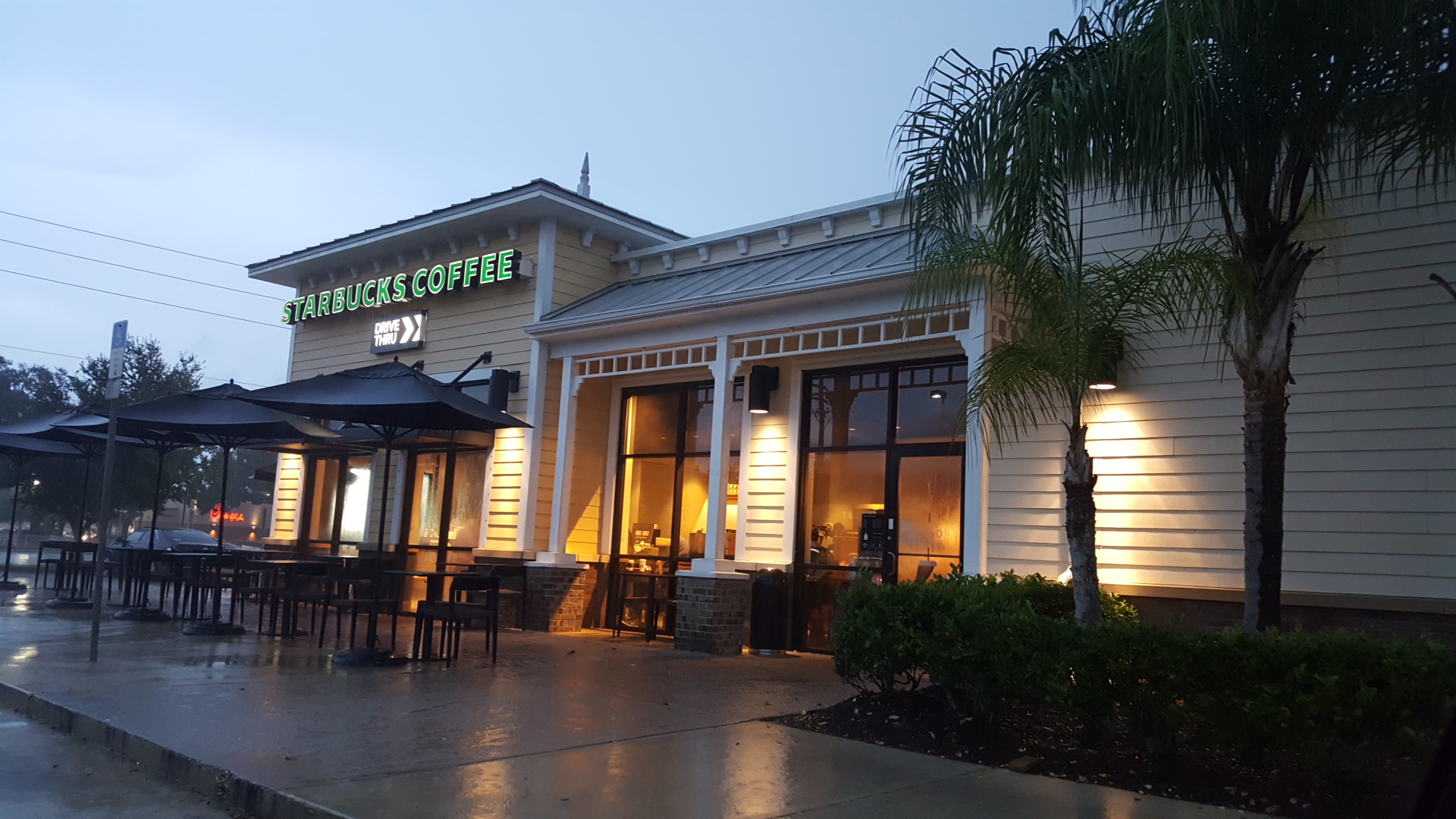 Starbucks Coffee Company