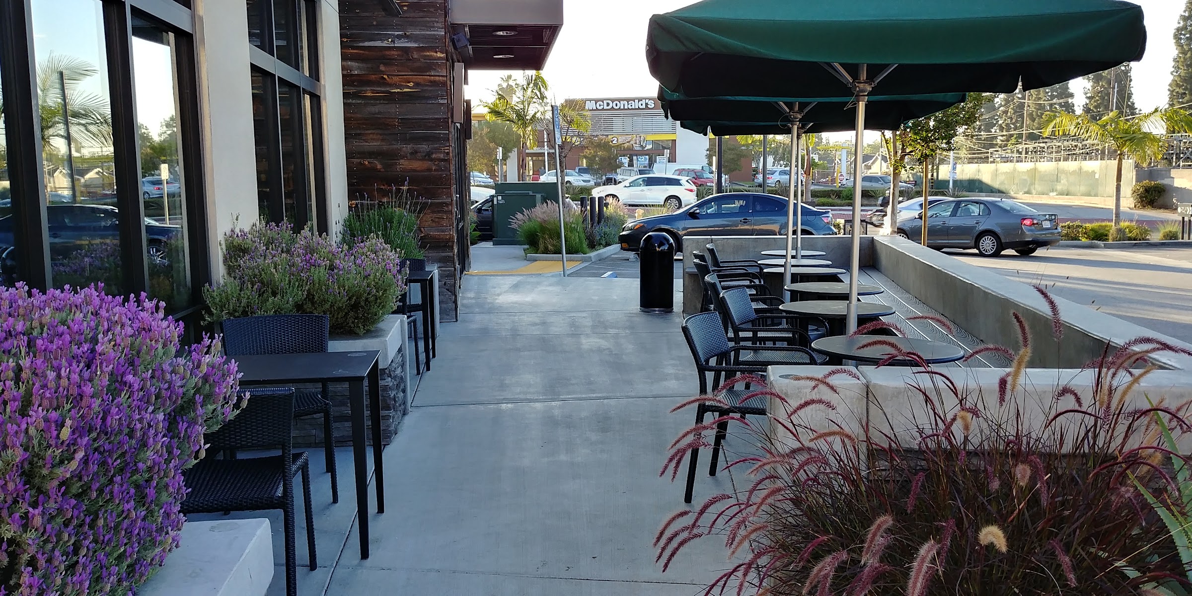 Starbucks Coffee Company