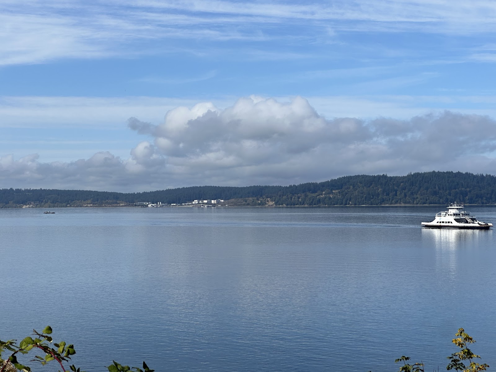 Steilacoom Waterfront Lookout Point