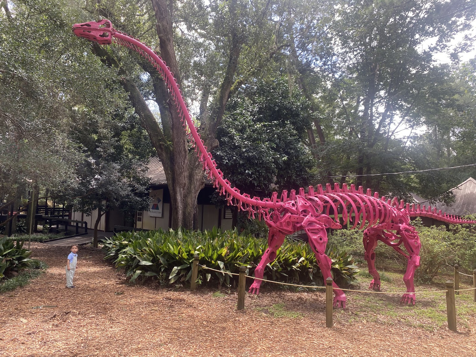 Tallahassee Museum