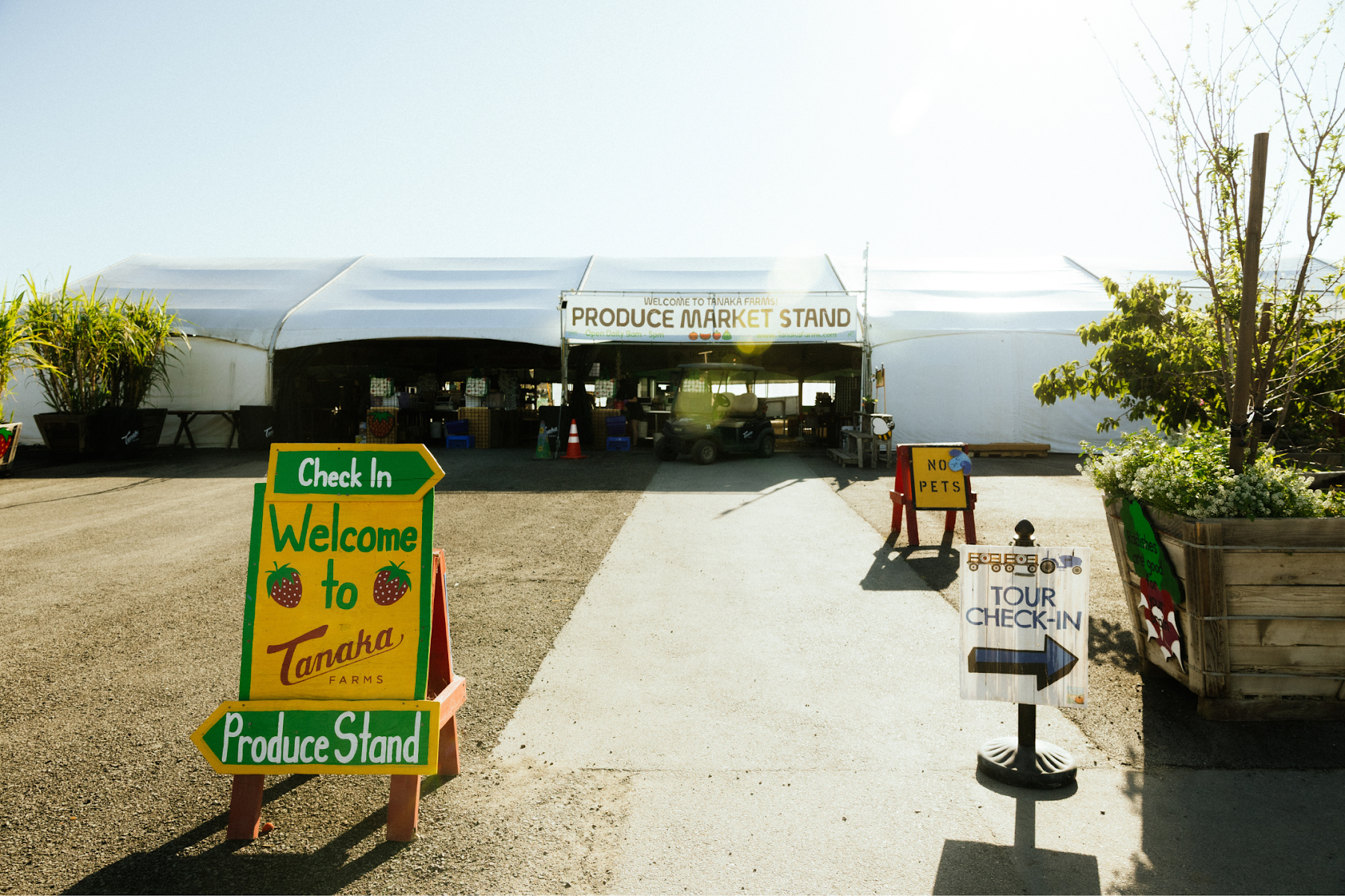 Tanaka Farms