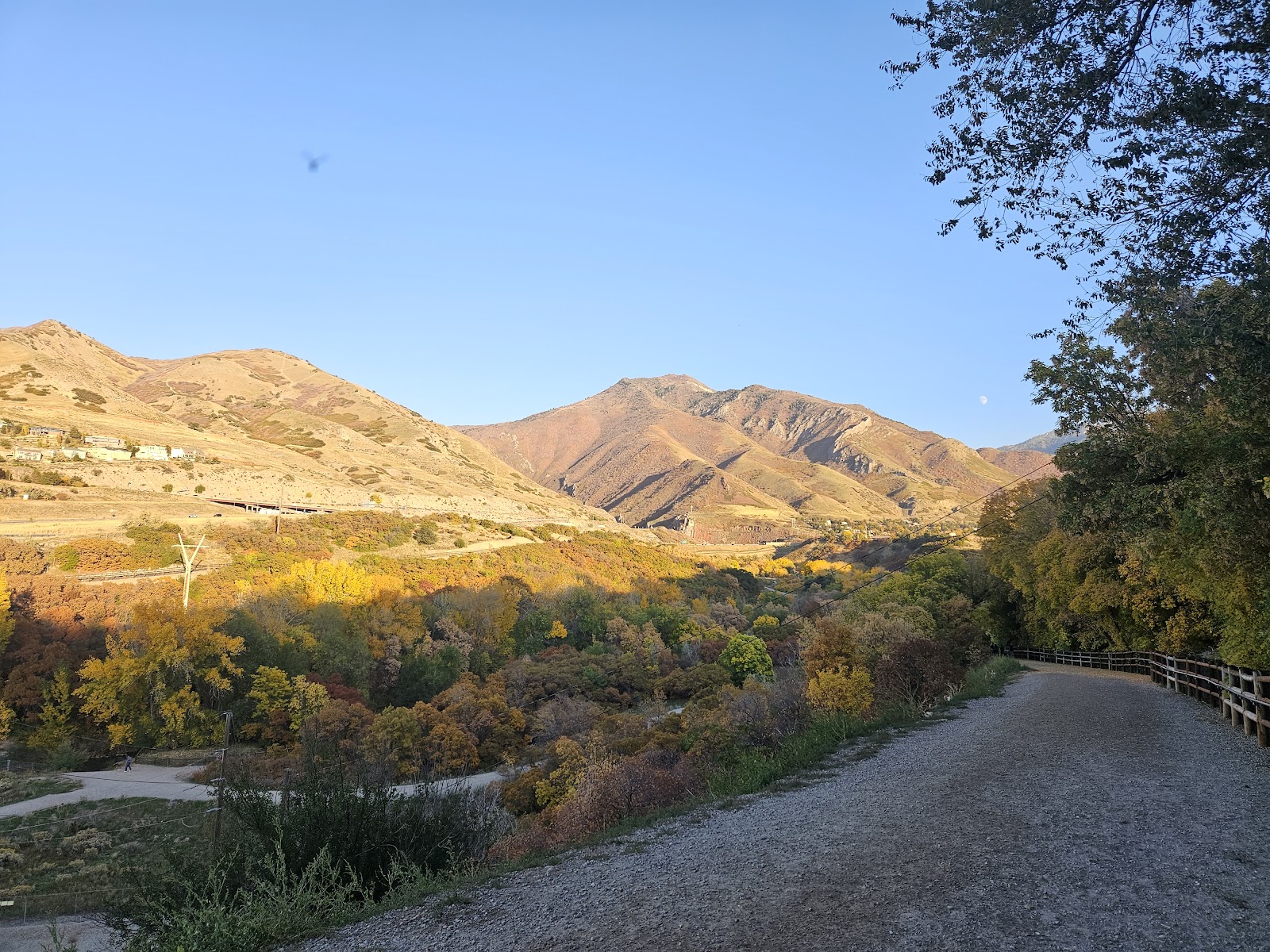 Tanner Park