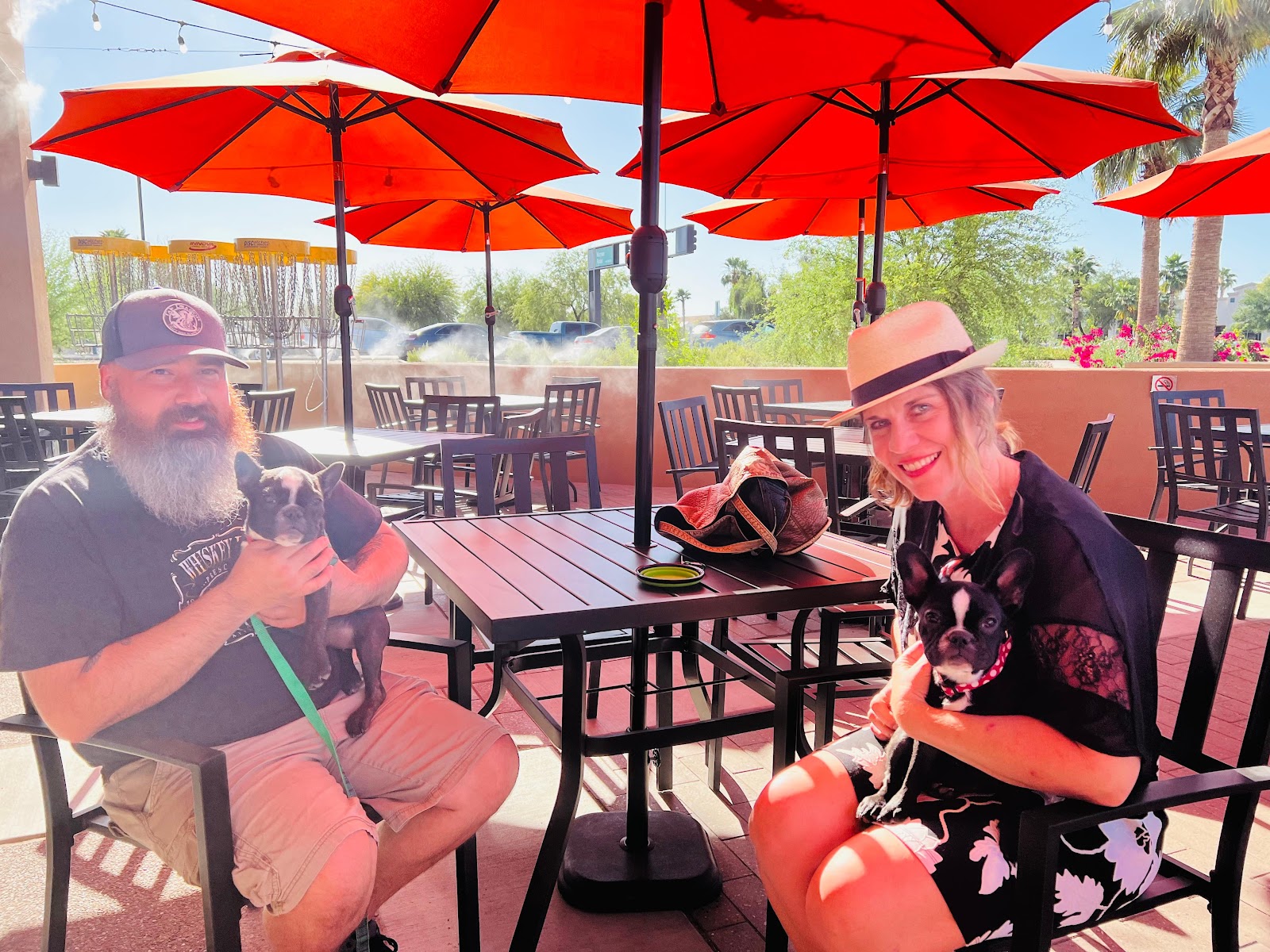 Tap Dragon Craft Beer & Wine Bar