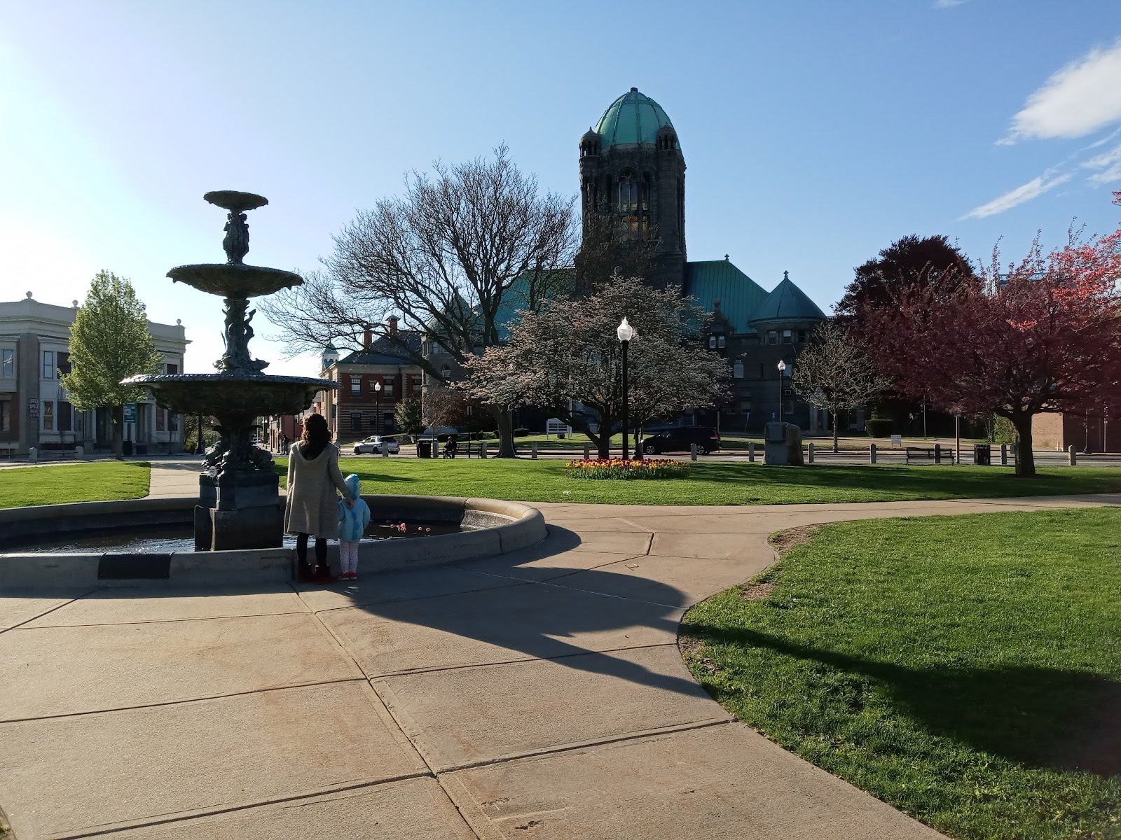 Taunton Green