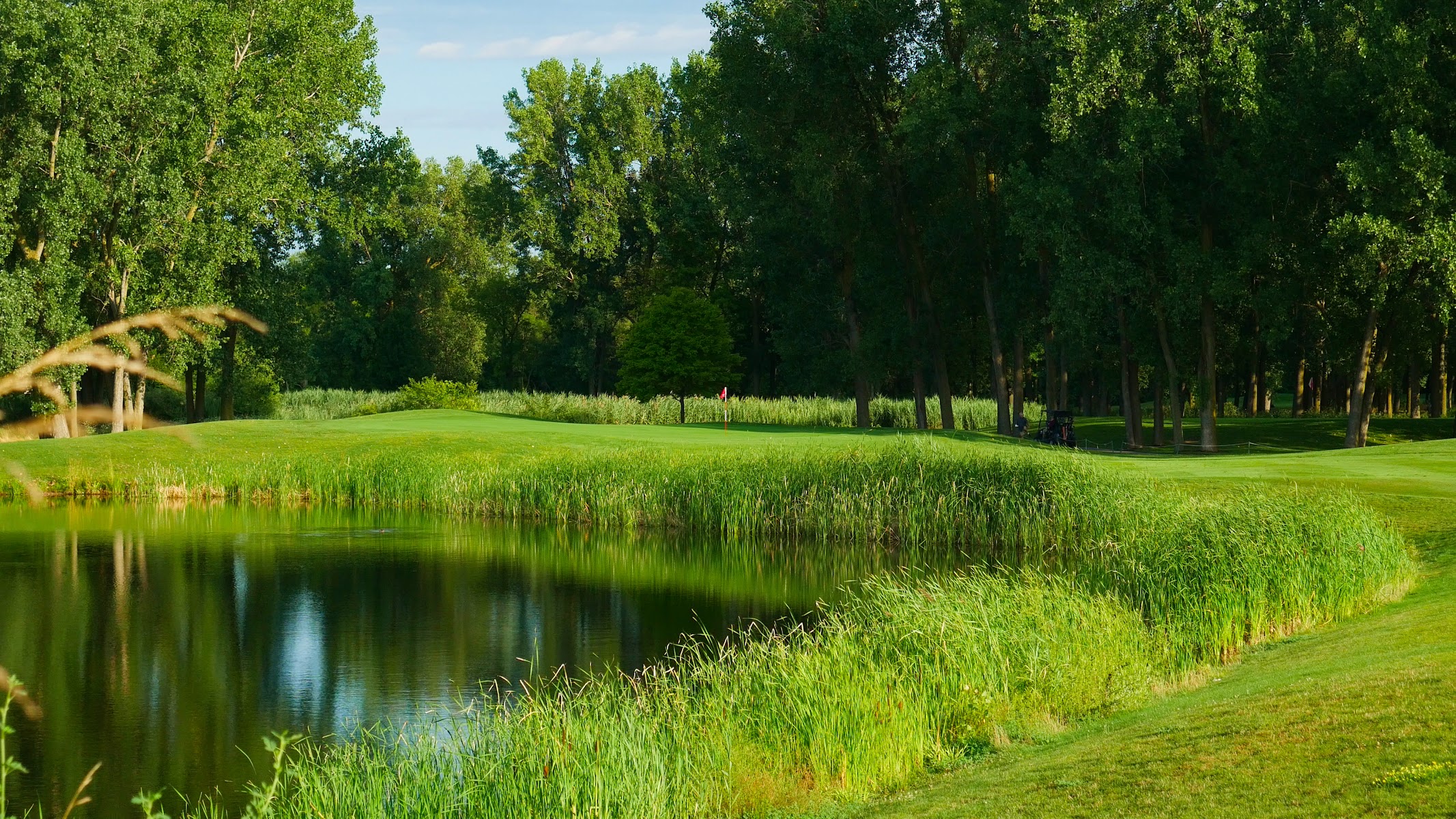 Taylor Meadows Golf Club